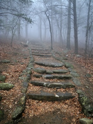 stone-path-and-fog-4